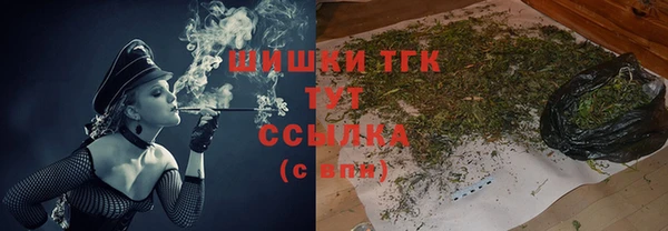 a pvp Горняк