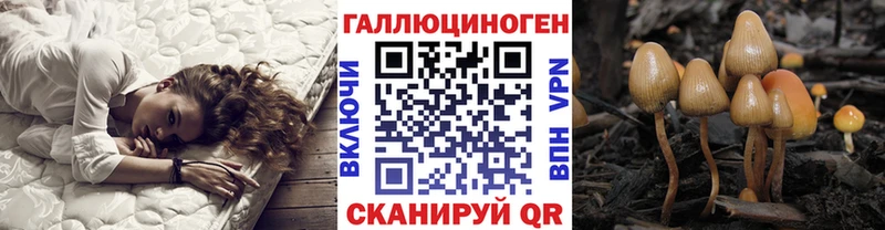 Псилоцибиновые грибы прущие грибы  Купить  Каргат 